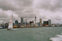 Sailing NZL